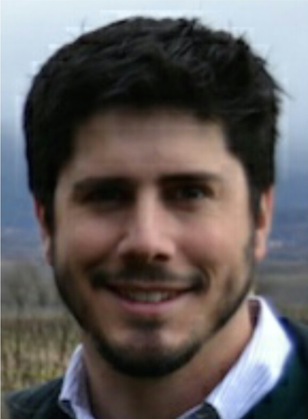 Carlos Badenes Olmedo